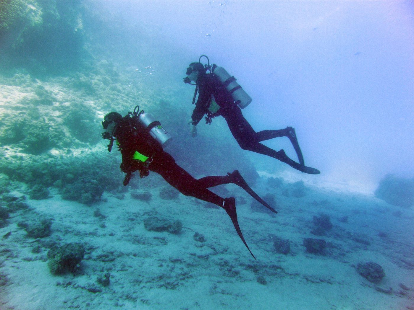 Nurkowanie z No Pressure Diving