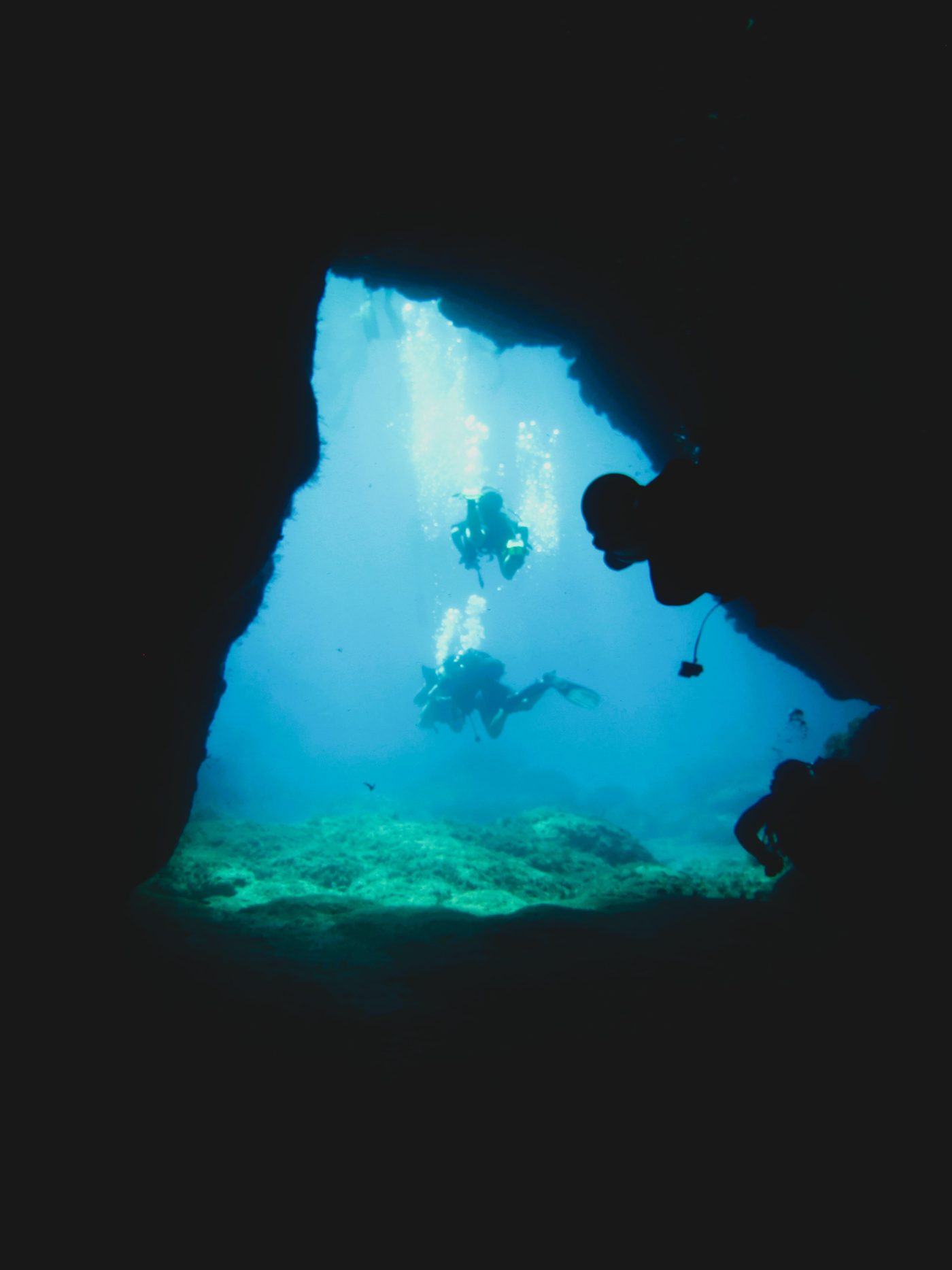 Nurkowanie — galeria No Pressure Diving